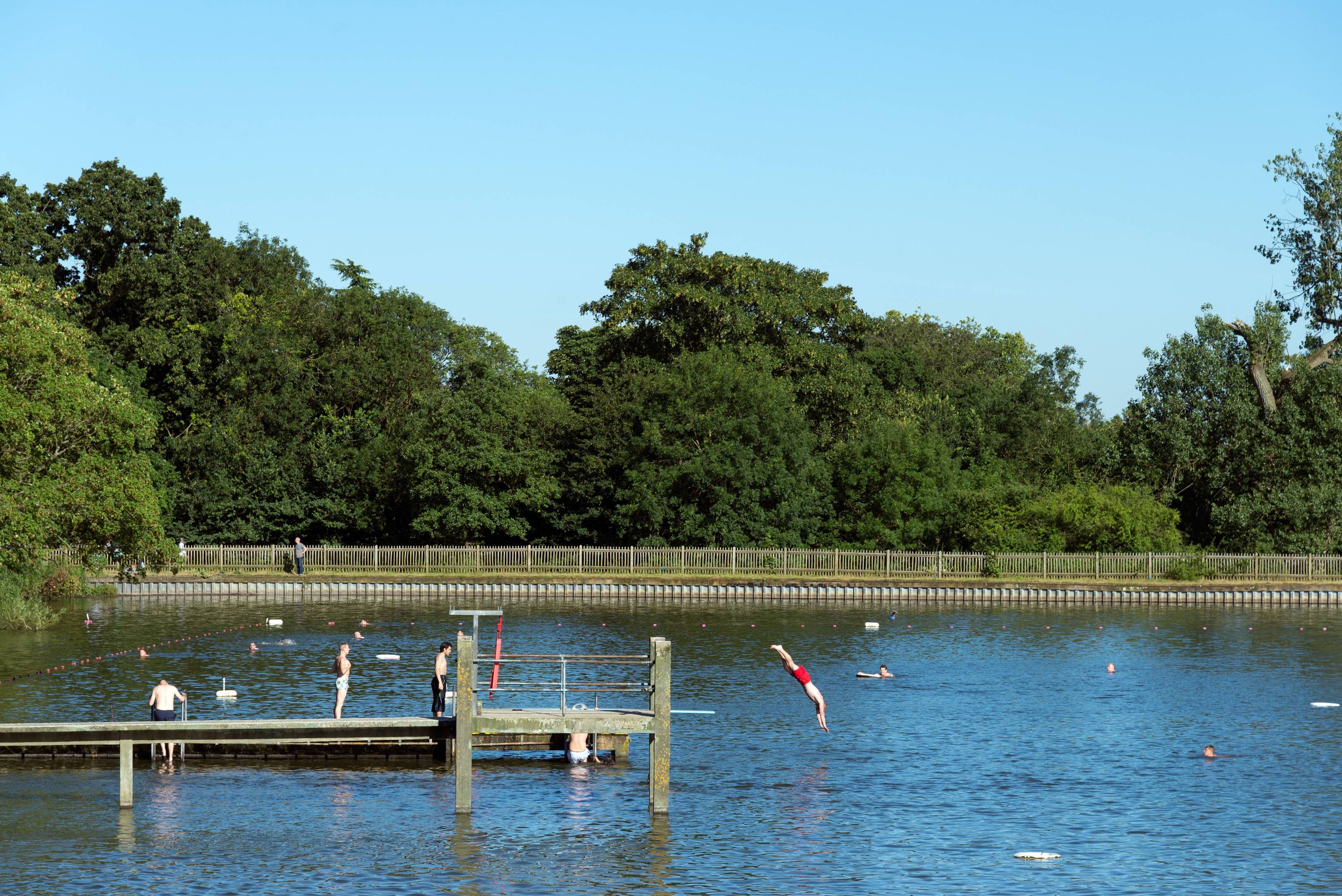 Outdoor Swimming In London House Garden