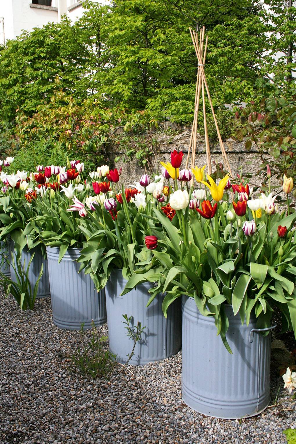 plant pots garden large | design ideas | decorating | house & garden