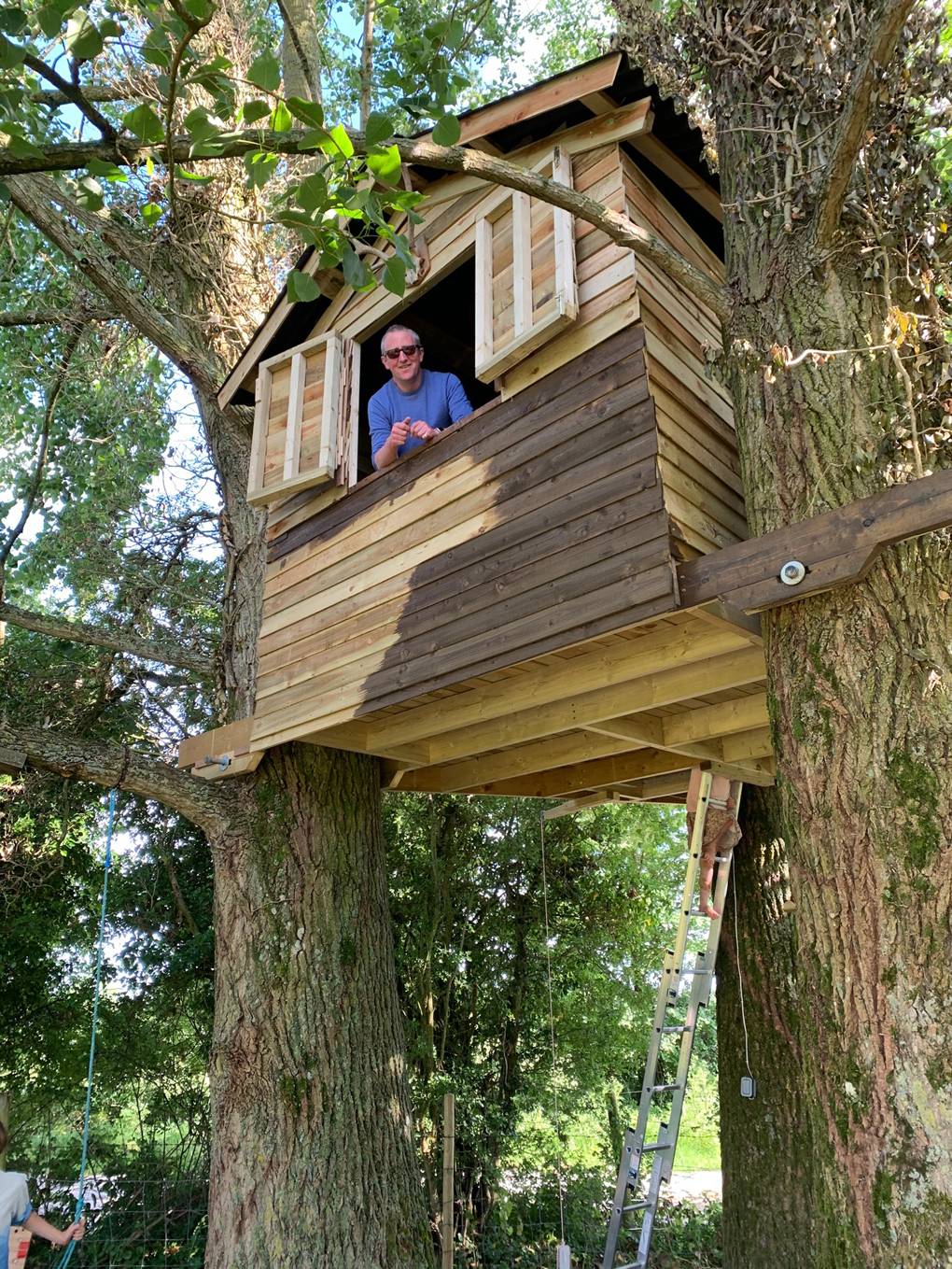 tree house roofs
