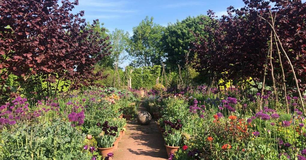 Monty Don's garden at Longmeadow | House & Garden