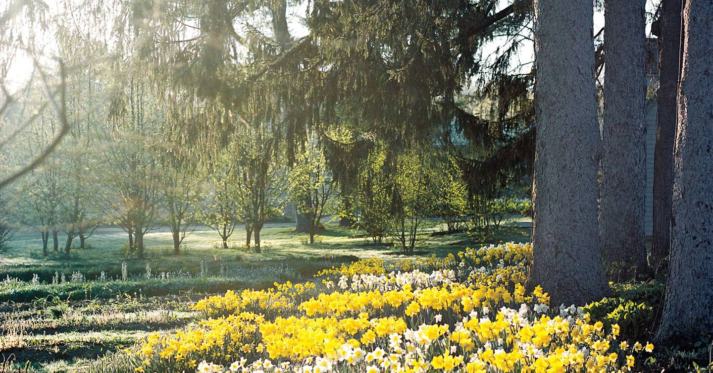 Martha Stewart garden and flowers | House & Garden