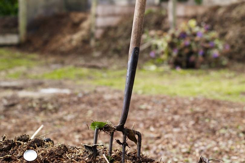 Autumn garden tips and ideas | House & Garden - Vimarsana News