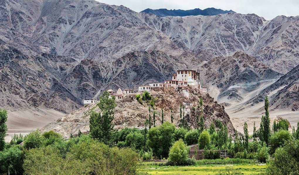 Ladakh Village In The Himalayas House Garden