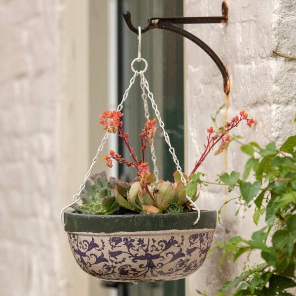 Hanging Baskets Ready Made Hanging Baskets House & Garden
