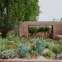 Chelsea Flower Show Winner Of Best Show Garden 2018 Is Chris