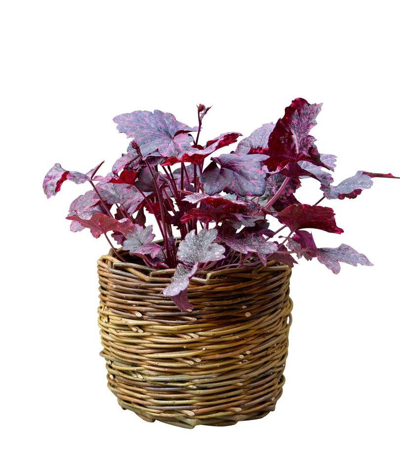 Space-saving ideas for small gardens | House & Garden