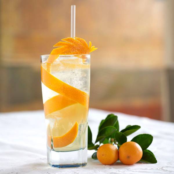 Orange Blossom Gin & Tonic Cocktails & Drinks Recipes House & Garden