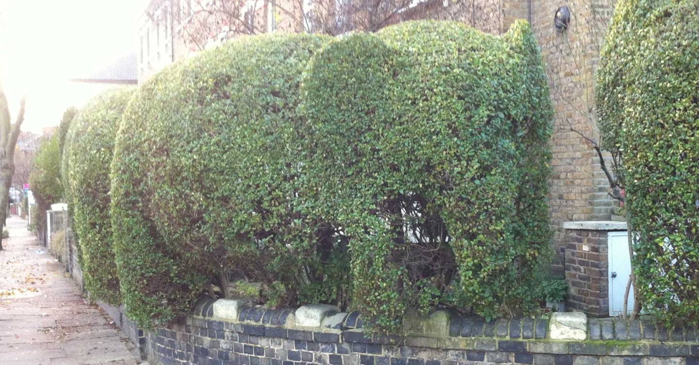 The Animal Topiary of Tim Bushe - Design News | House & Garden