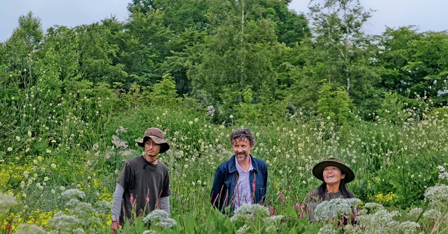 Tokachi Millennium Forest, by Dan Pearson - Vimarsana News