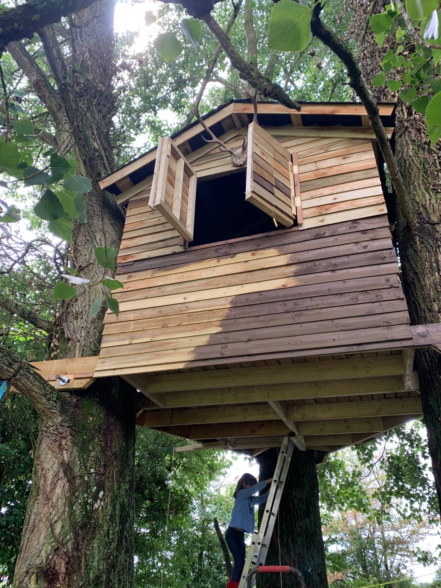 How to build a treehouse House & Garden