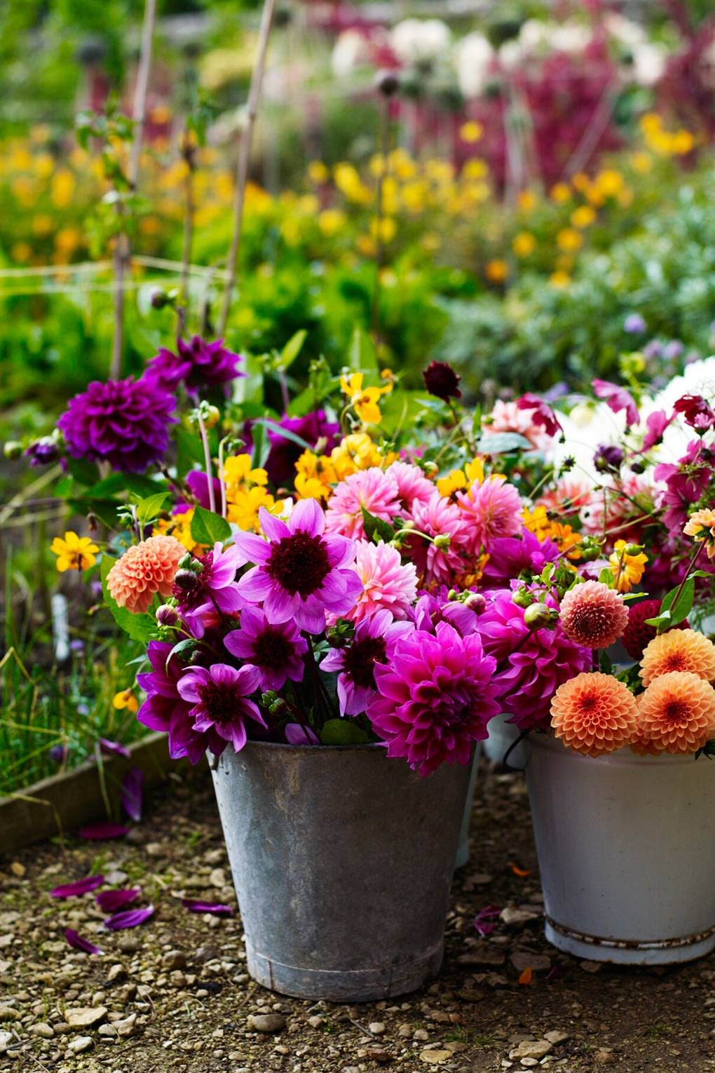 Wardington Manor Bridget Elworthy The Land Gardeners Home House Garden