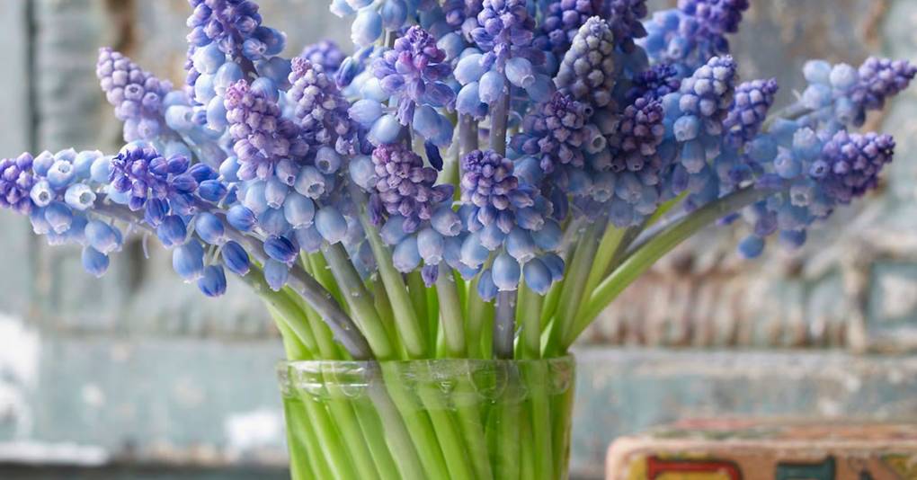 Flower Art De duurzame bloemist in het Westland