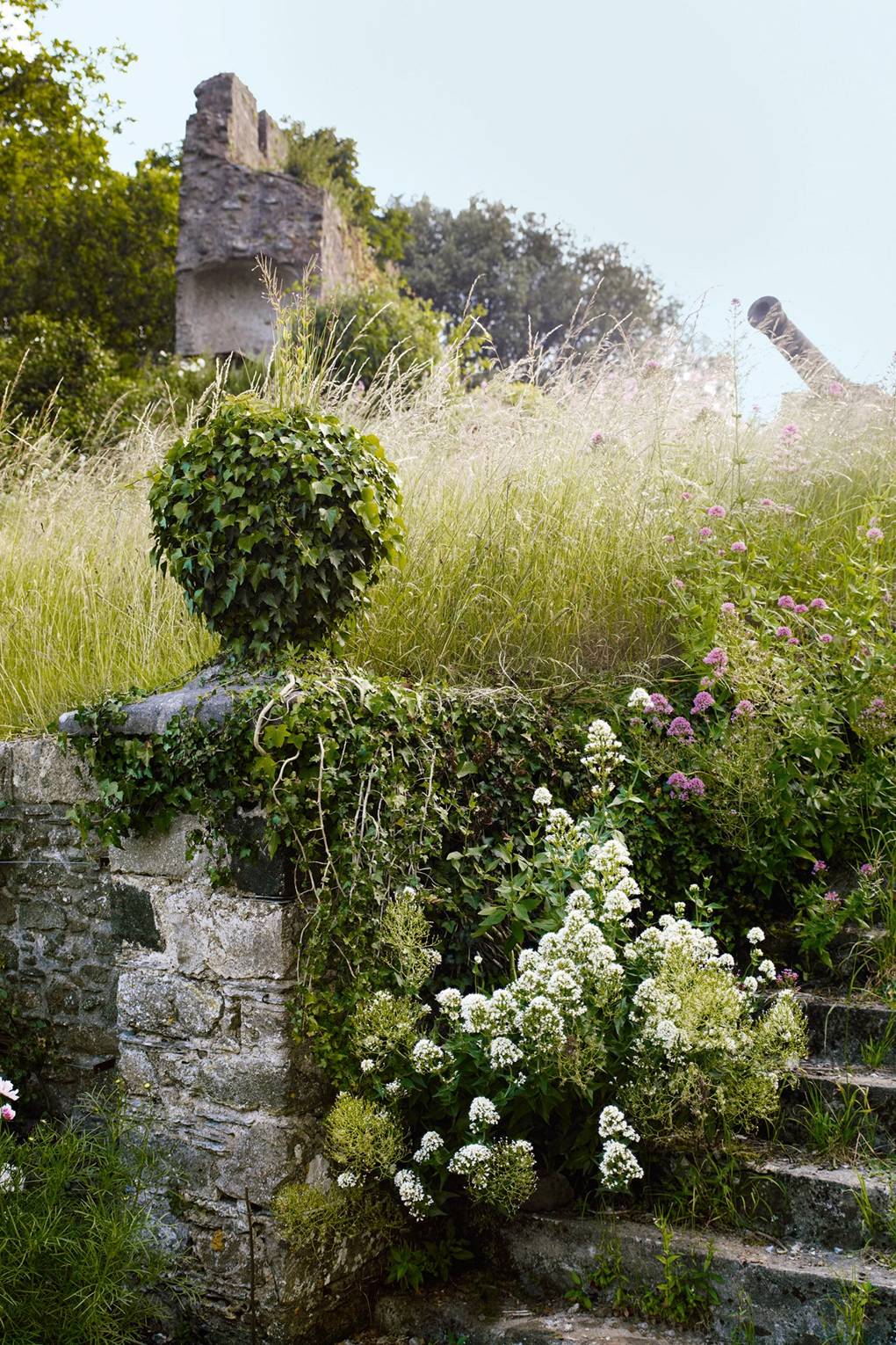 Trematon Castle Garden Isabel And Julian Bannerman Bannerman S