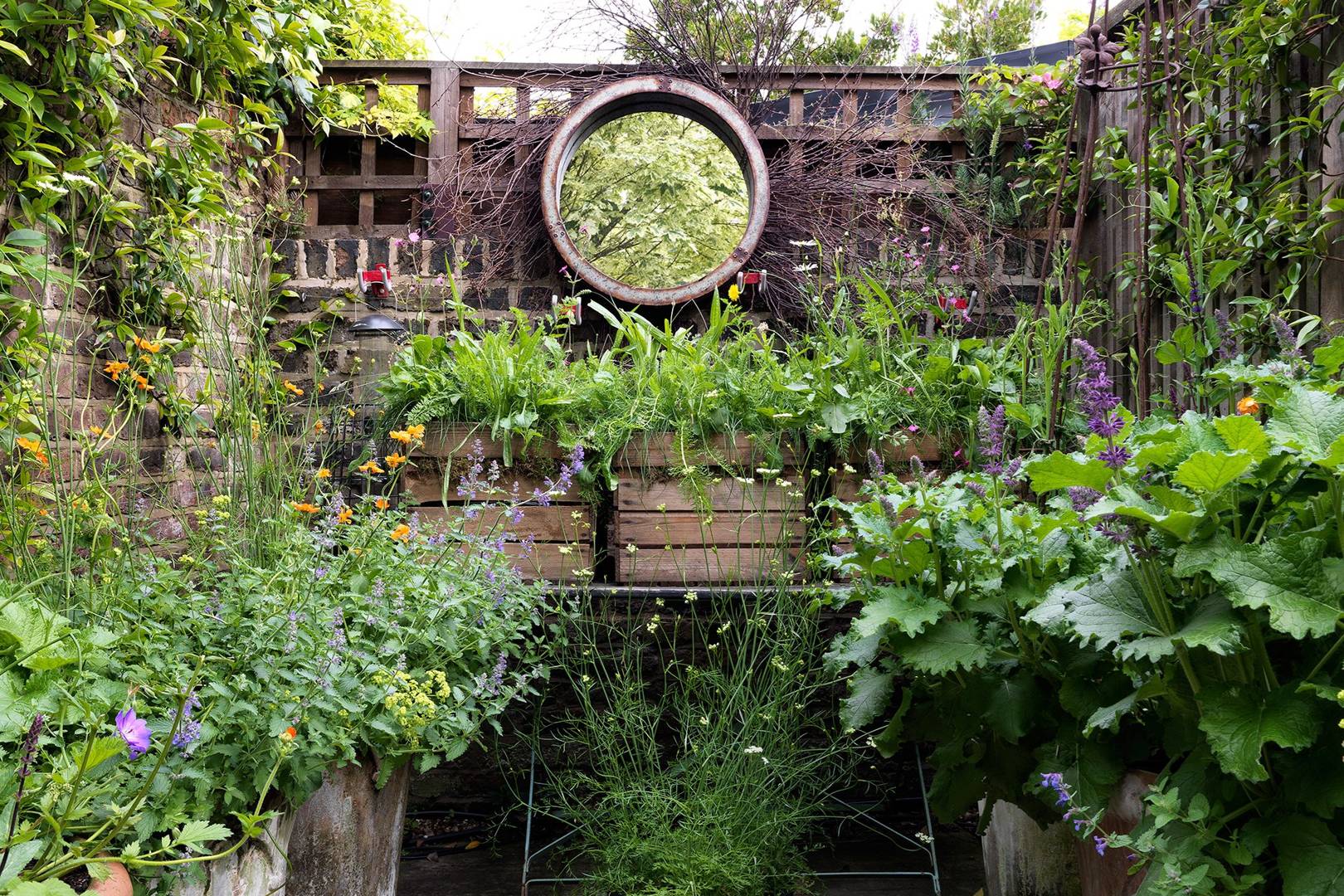 Flower garden in backyard