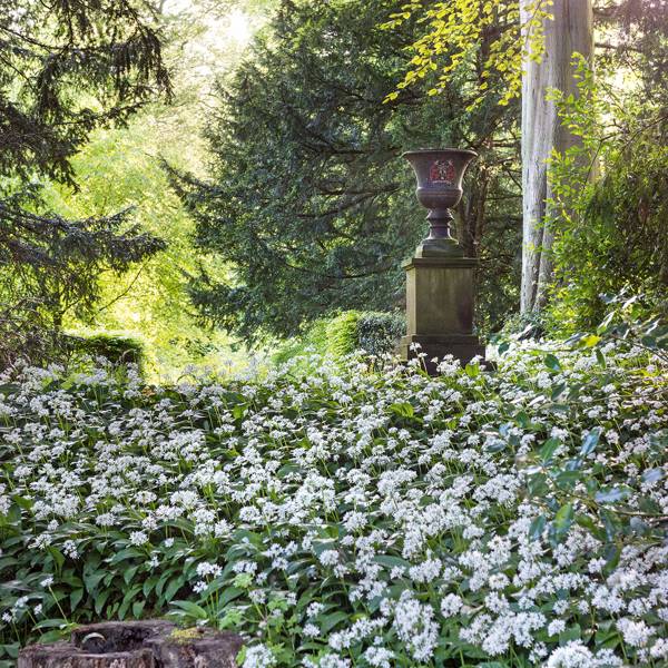 Garden design apps to help you plan your garden | House & Garden