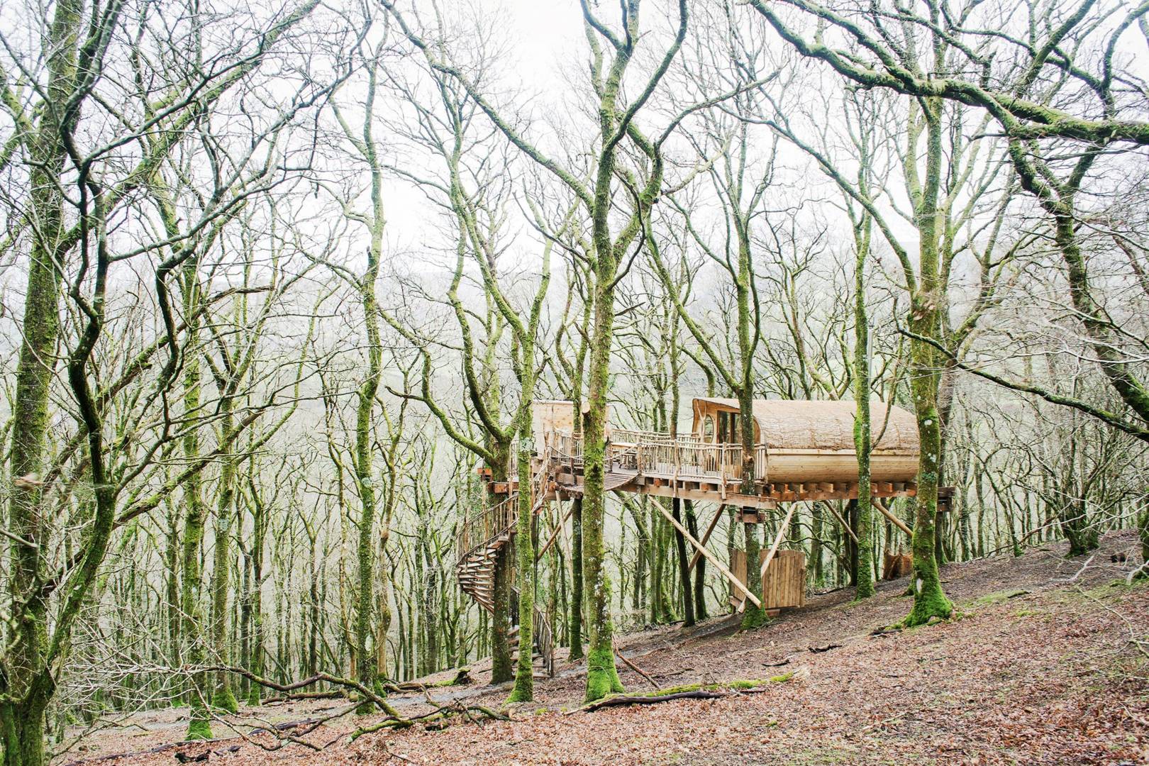 Living Room Treehouse Cemmaes Machynlleth Powys Baci Living Room