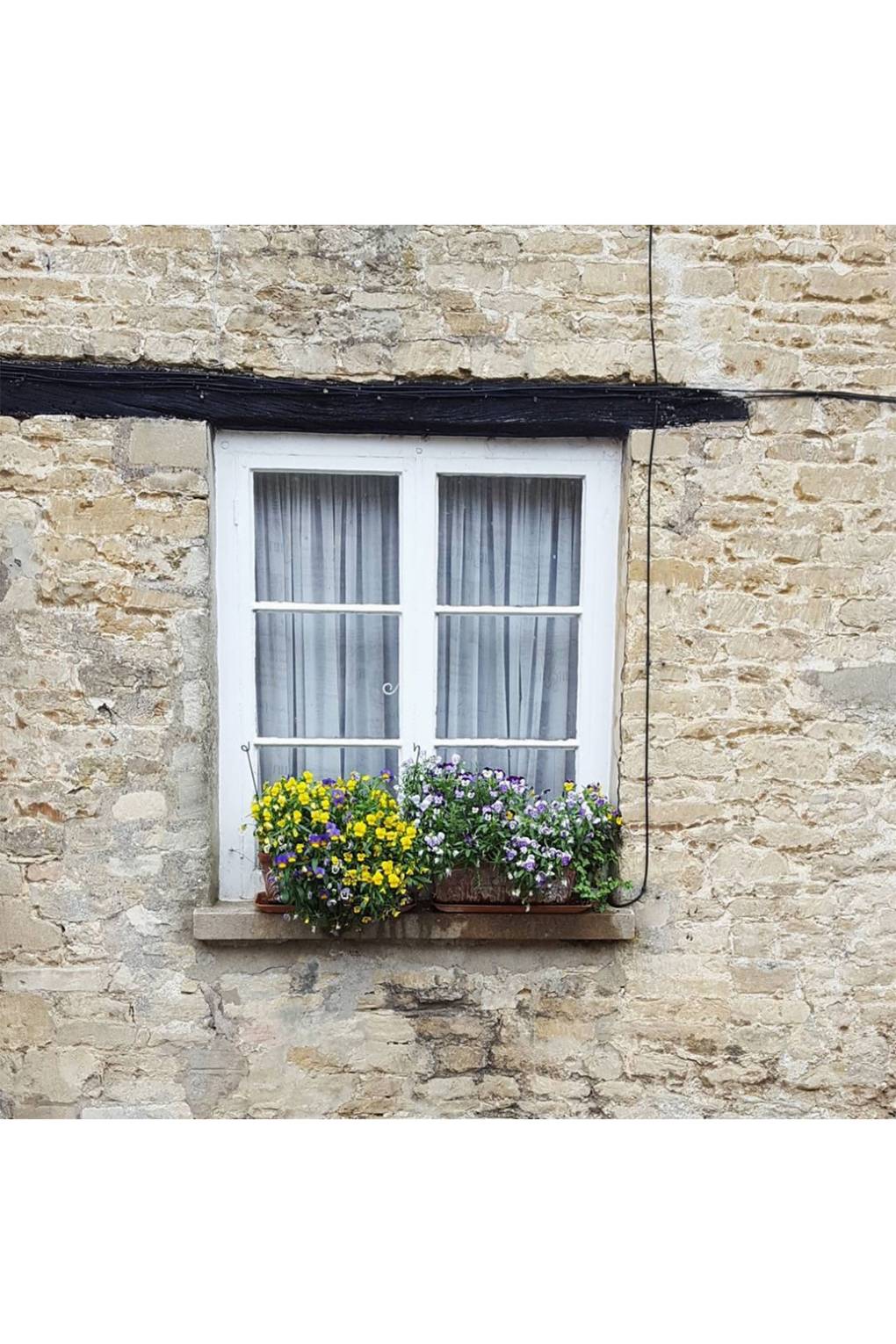 Easy window box ideas | small city gardens | House & Garden