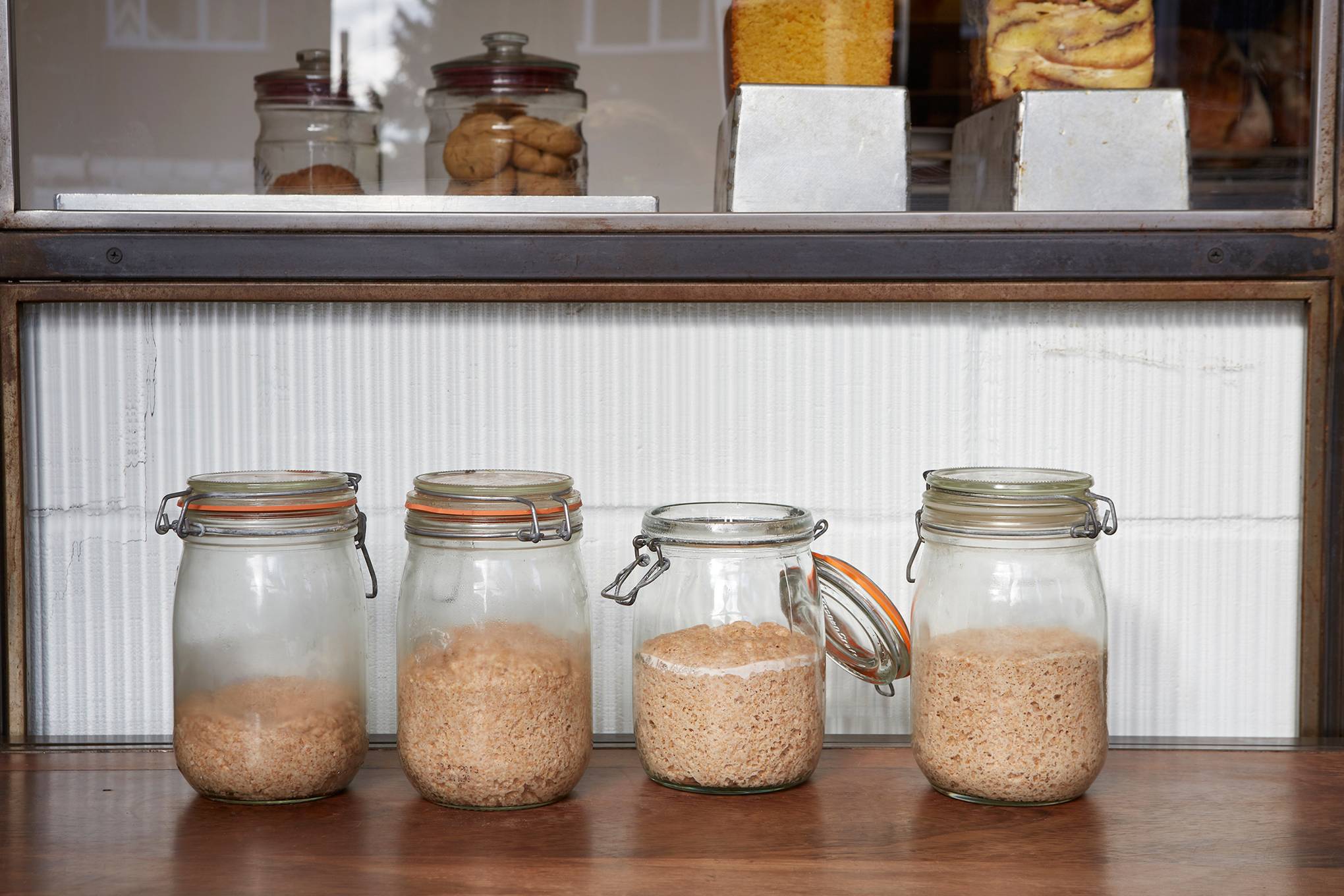 Where to store bread starter