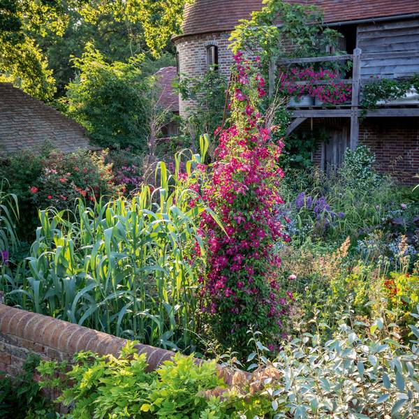 Sarah Raven garden | House & Garden
