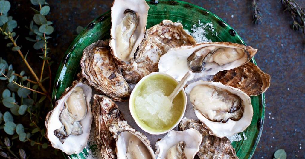 Oysters With GrapefruitAndGin Granita Easy Recipes House & Garden