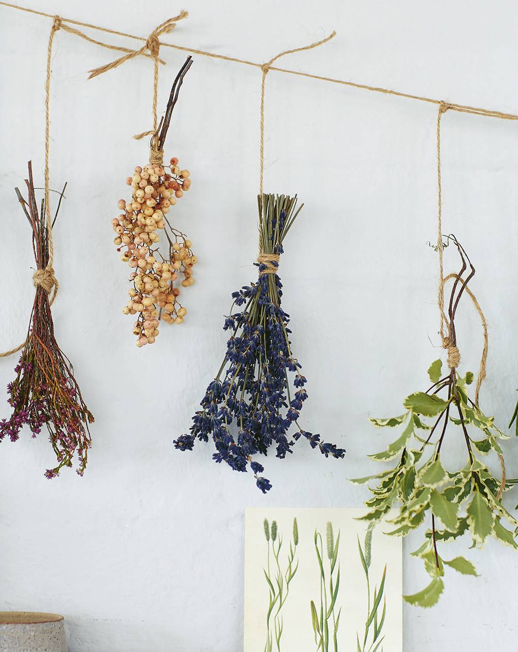 How To Dry Flowers House Garden