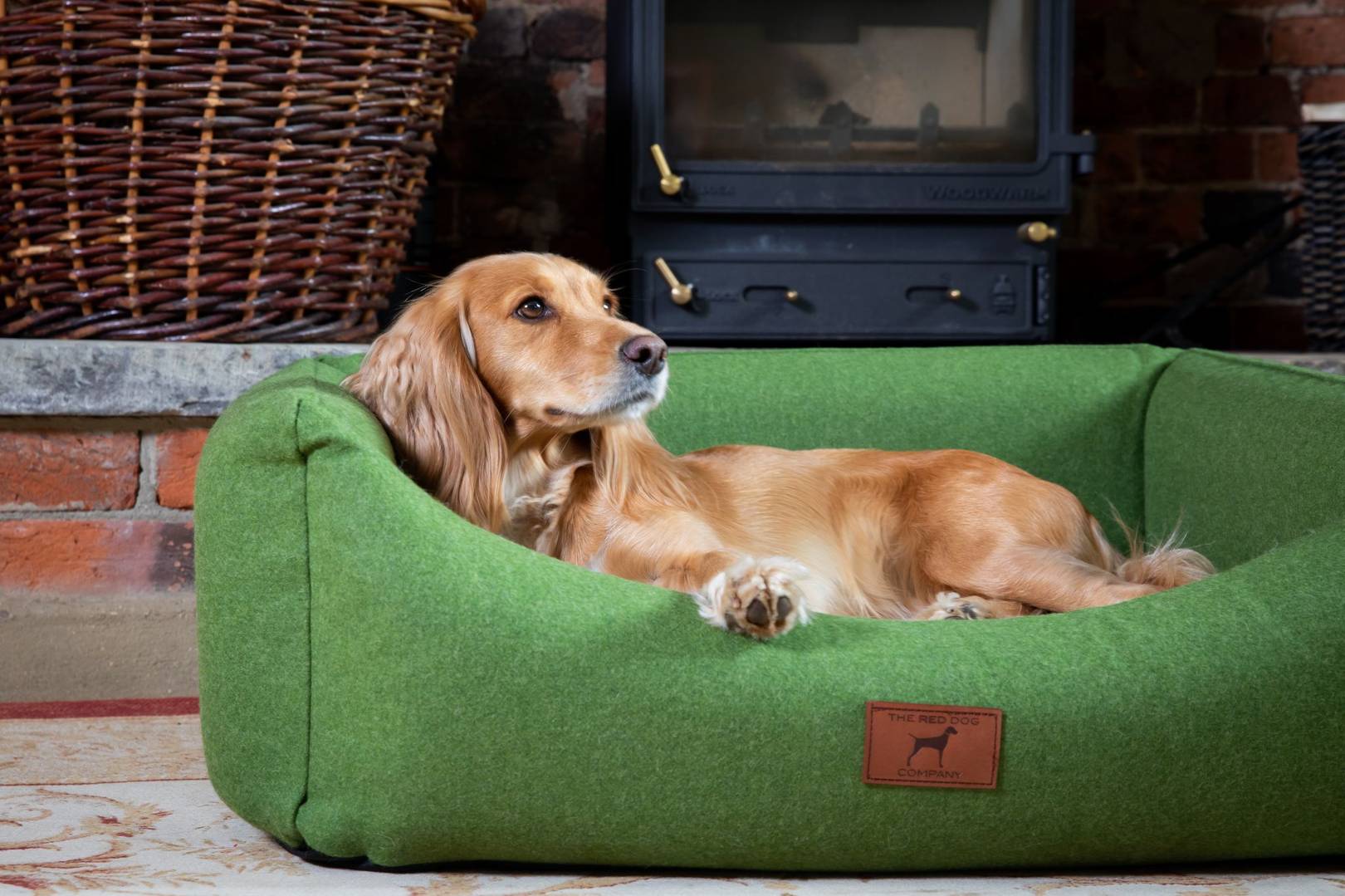 The best dog beds House & Garden