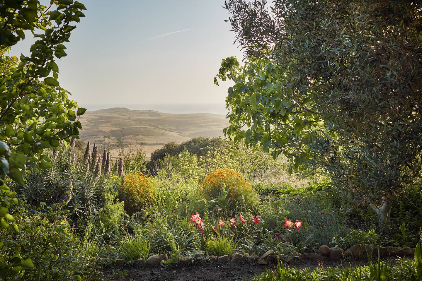 Umberto Pasti's Moroccan Garden 