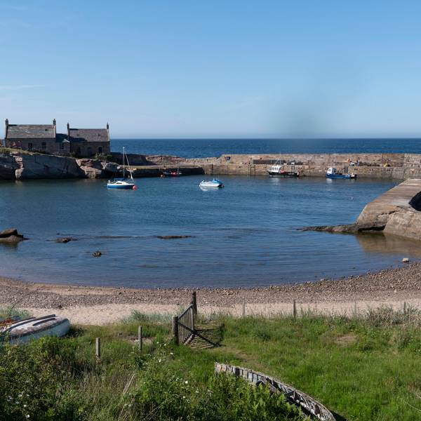 Ben Tindall's Blue Cabin by the Sea House & Garden