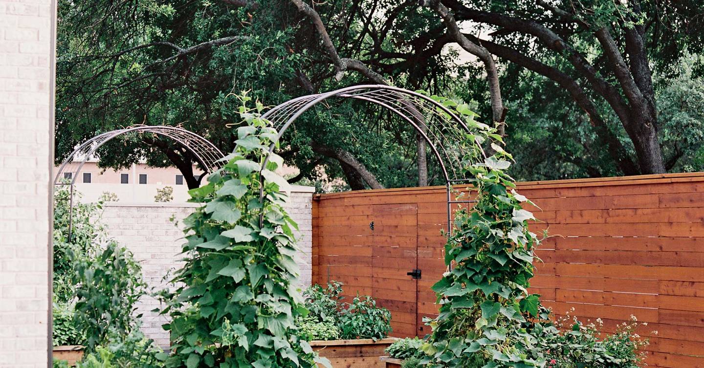 How to build a raised bed for your garden | House & Garden