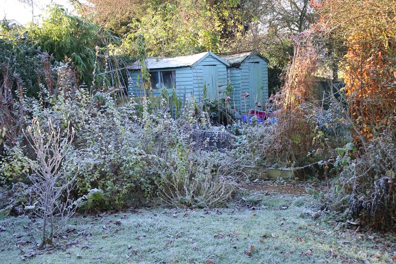 Allotment diaries January | House & Garden - Vimarsana News