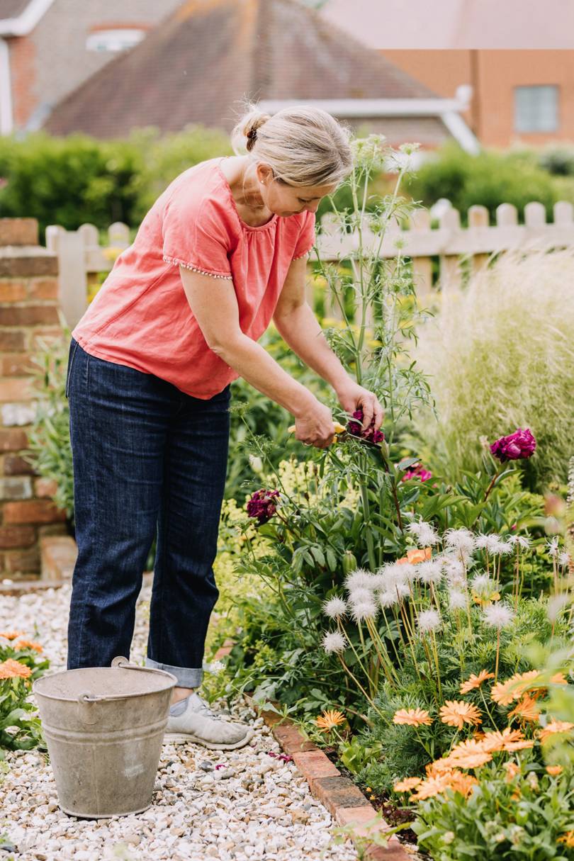 What to do in your garden in August House & Garden