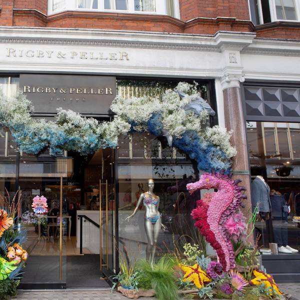 Flowers in London to celebrate Chelsea Flower Show | House & Garden