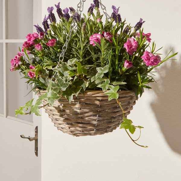 Hanging Baskets Ready Made Hanging Baskets House & Garden