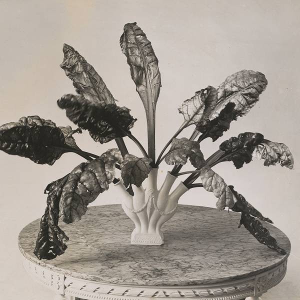 How Constance Spry Radicalised The Art Of Floristry House Garden How Constance Spry Radicalised The Art Of Floristry House Garden