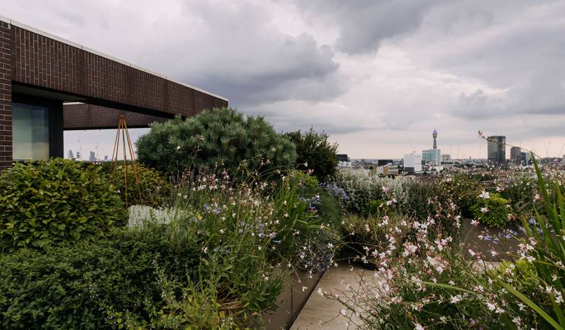 How to design a roof garden | House & Garden