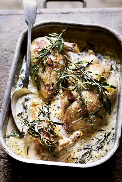 Easy Tarragon Chicken Recipe House Garden