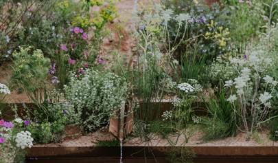 Medal Winners Chelsea Flower Show 2018 House Garden