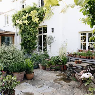 Daisy Garnett London garden | House & Garden