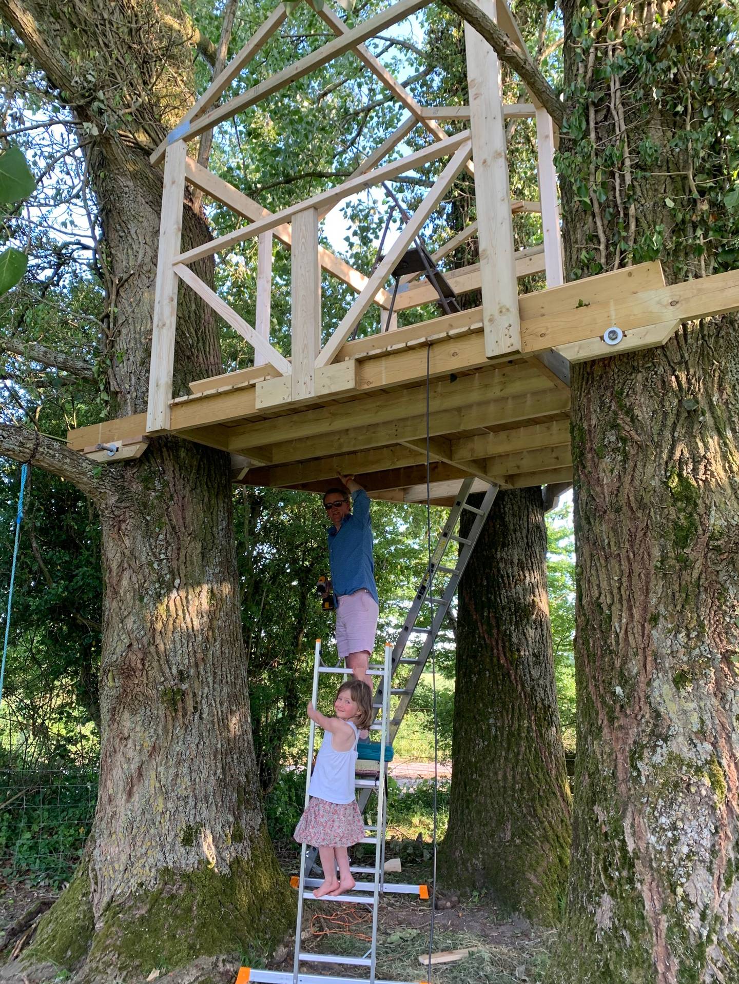 How to build a treehouse | House & Garden