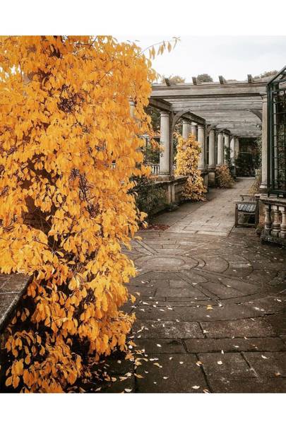 Autumn Leaves In London Best London Parks Autumn House