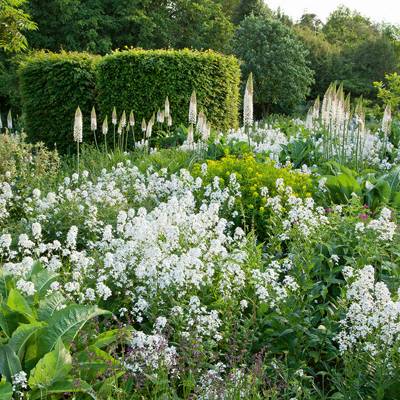 Tom Stuart-Smith's barn garden | House & Garden