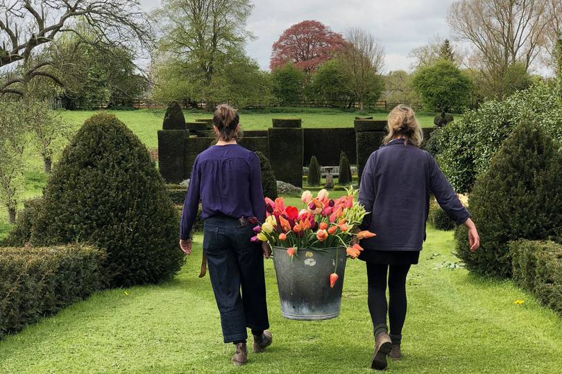 Find garden plants online | House & Garden - Vimarsana News