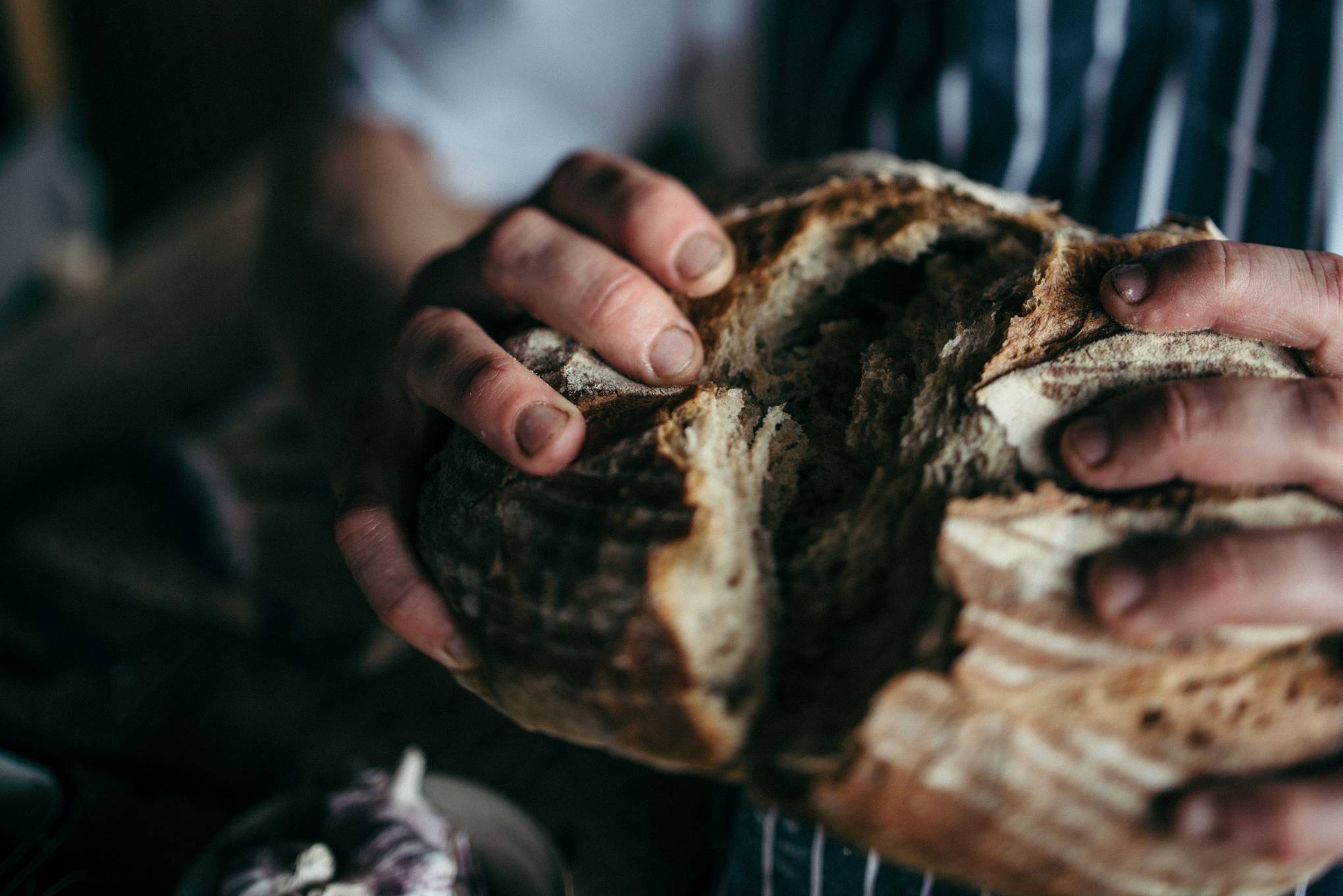 River Cottage Breadmaking And Oven Building Cookery Course In