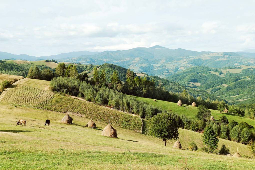 Transylvania, Romania | Travel Destinations | House & Garden