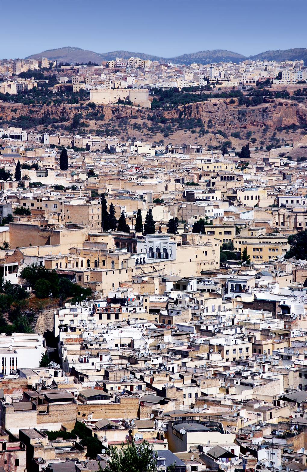 city of fez