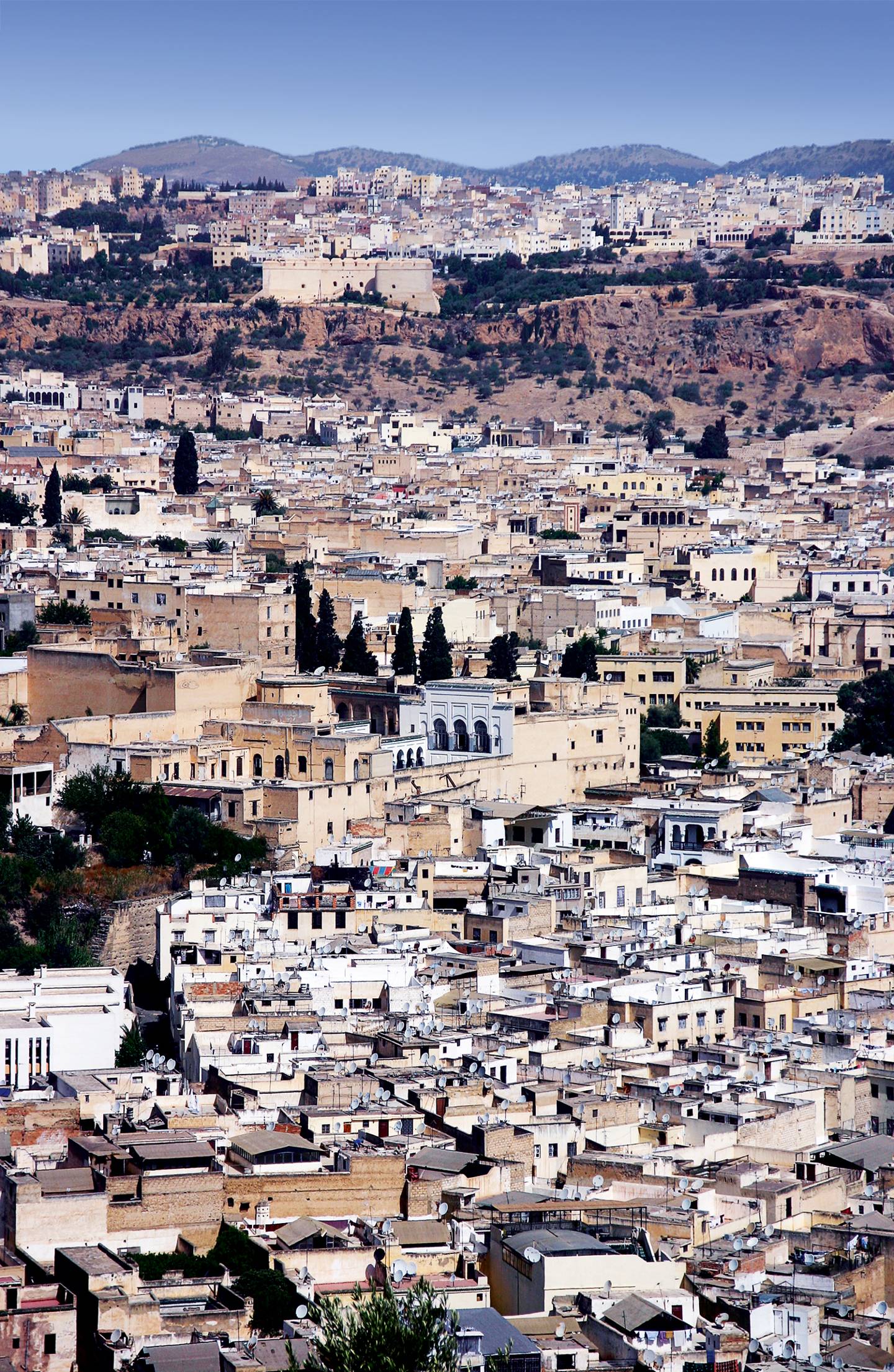 fez country fez country