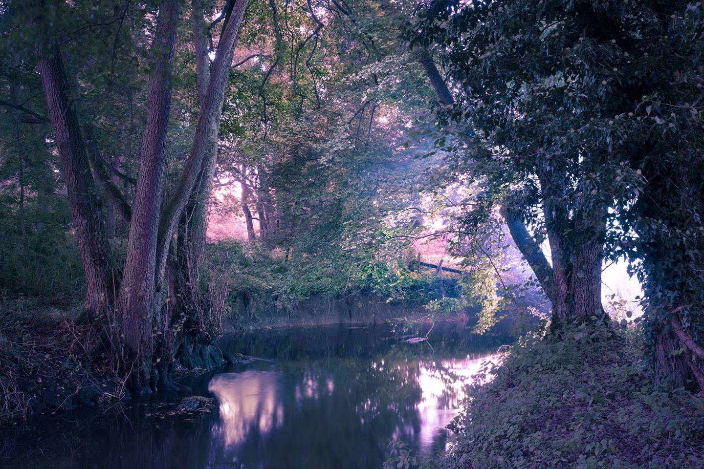 Buying Landscape Photography - Affordable Art For The Home | House & Garden