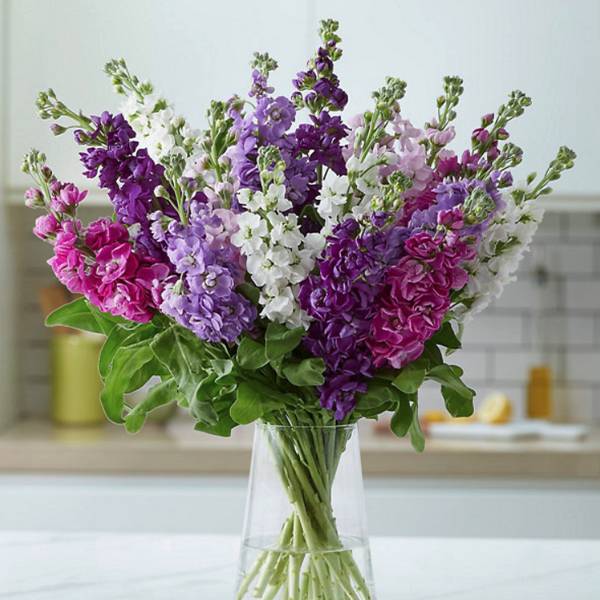 The best flower delivery companies UK House & Garden