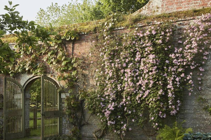 Petworth gardens House & Garden