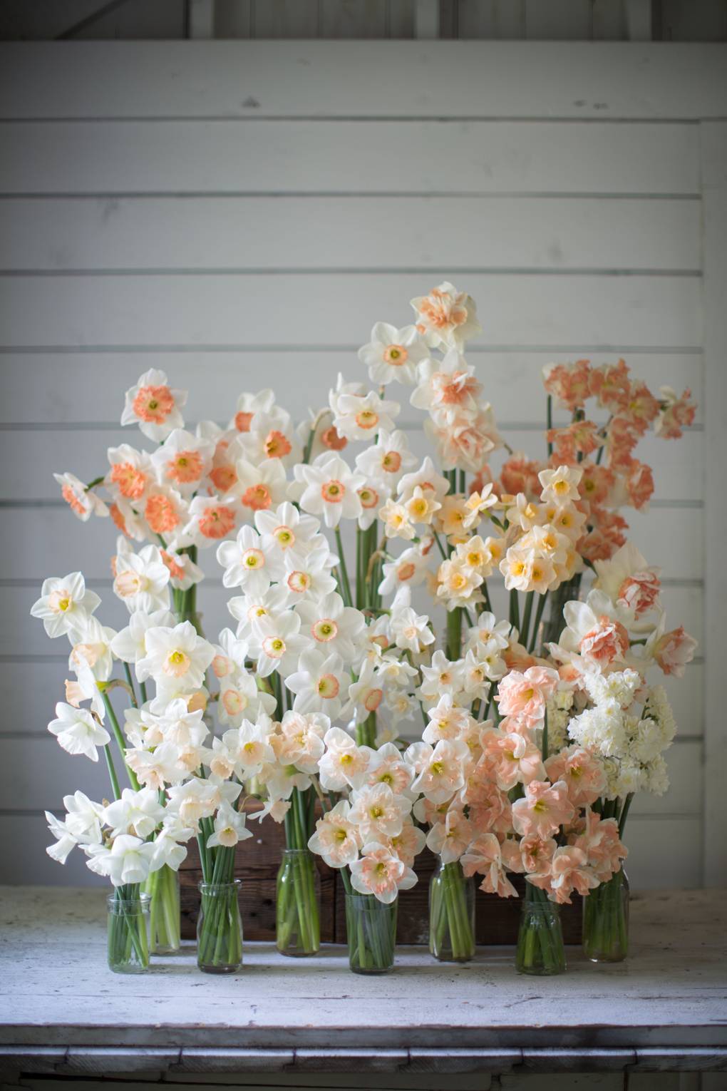 Daffodil flower arrangement House & Garden